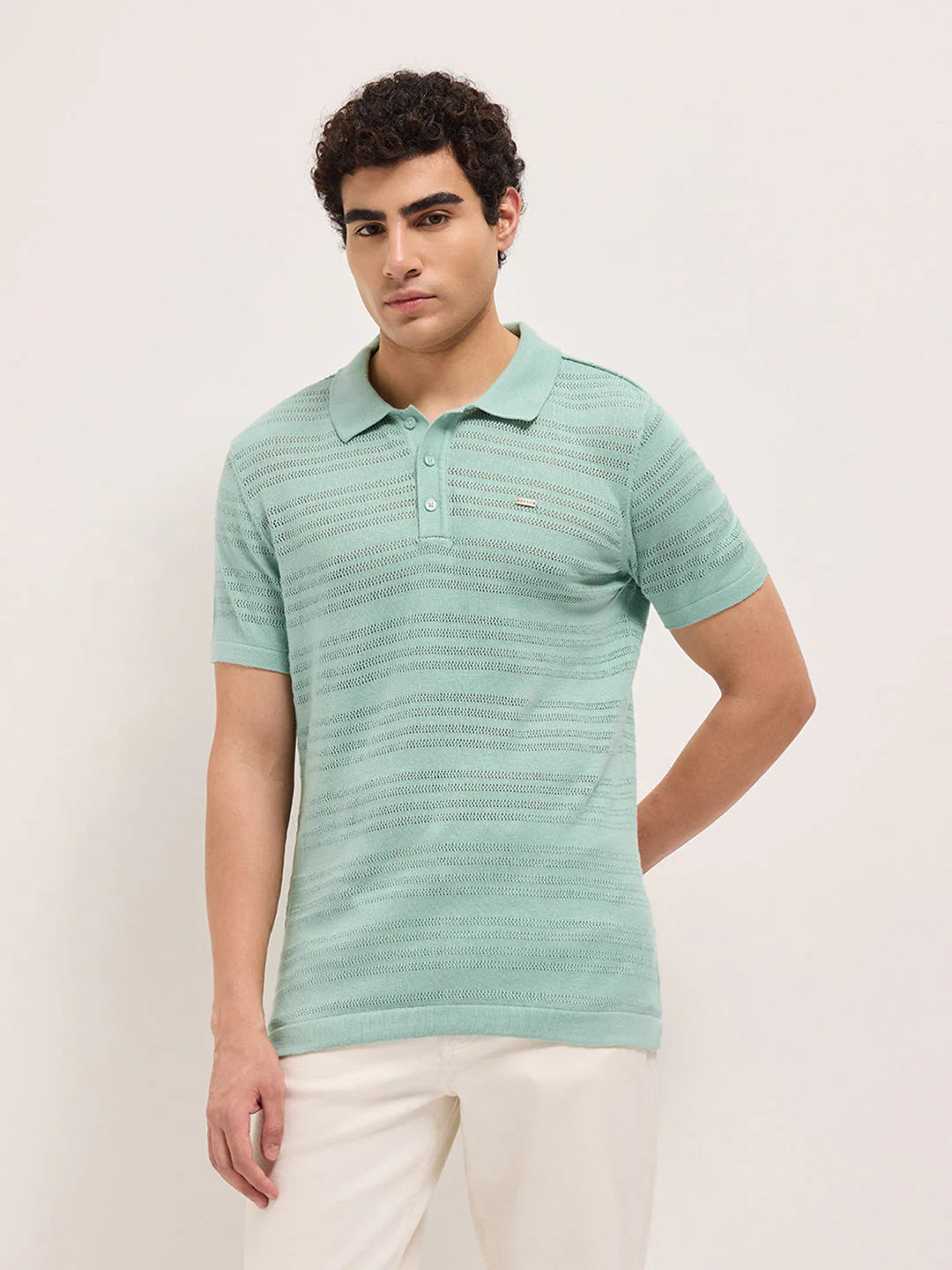 Green Regular Fit Horizontal Textured Knit Polo Shirt with Transparent Effect - Image 6