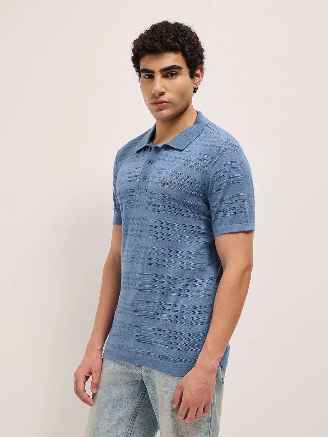 Blue Regular Fit Horizontal Textured Knit Polo with Transparent Effect - Image 3