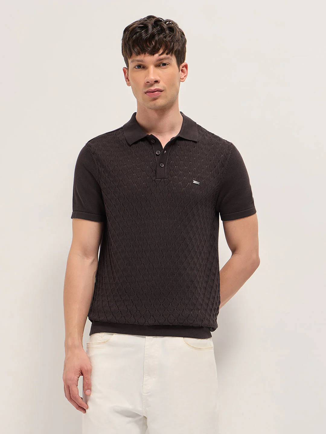 Brown Slim Fit Diamond Textured Flat Knit Polo with Transparent Effect - Image 6